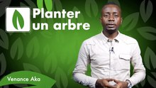 LA MINUTE VERTE : PLANTER UN ARBRE