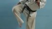 Karate Part - II, Health care  Gaming, Sports, Good exercise, Body fitness, Calorie remover