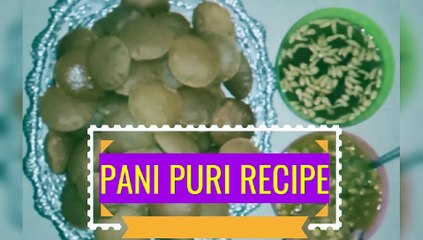 pani puri| puchka| puchki| golgappa| gupchup| pani patasha