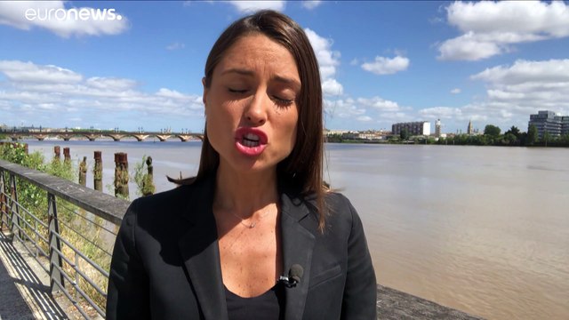 Десять детей французских джихадистов вернули из Сирии на родину