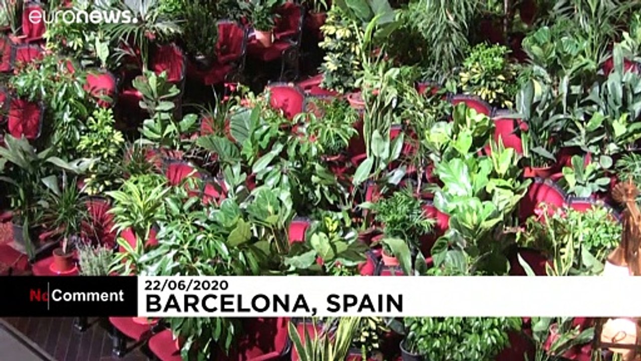 Oper in Coronazeiten: Puccini für 2.292 Topfpflanzen statt Menschen