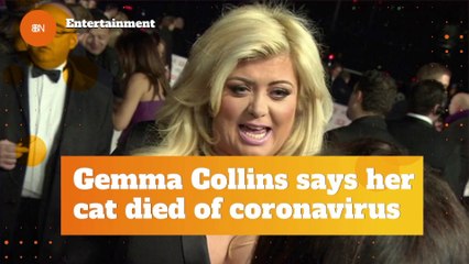 Gemma Collins Lost Her Cat