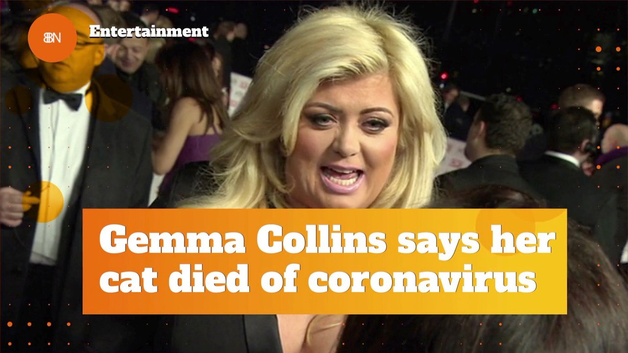 Gemma Collins Lost Her Cat