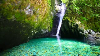 SONIDO DE AGUA CAYENDO DE UNA HERMOSA CASCADA- HD relájate y duerme profundamente , terapia de sonido.