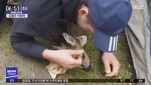 [이슈톡] 강물에 빠진 아기 사슴 구조한 세 친구