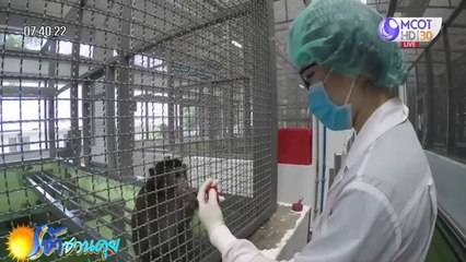 เช้าชวนคุย (ช่วงที่ 2) วันอังคารที่ 23 มิถุนายน 2563