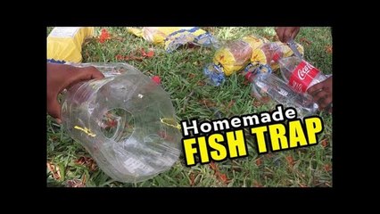DIY PLASTIC BOTTLE FISH TRAP!!!