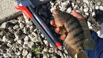 Rocket Rod Drainage Ditch Fishing!