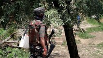 50 News: 2 Terrorist killed in Pulwama encounter