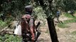 50 News: 2 Terrorist killed in Pulwama encounter