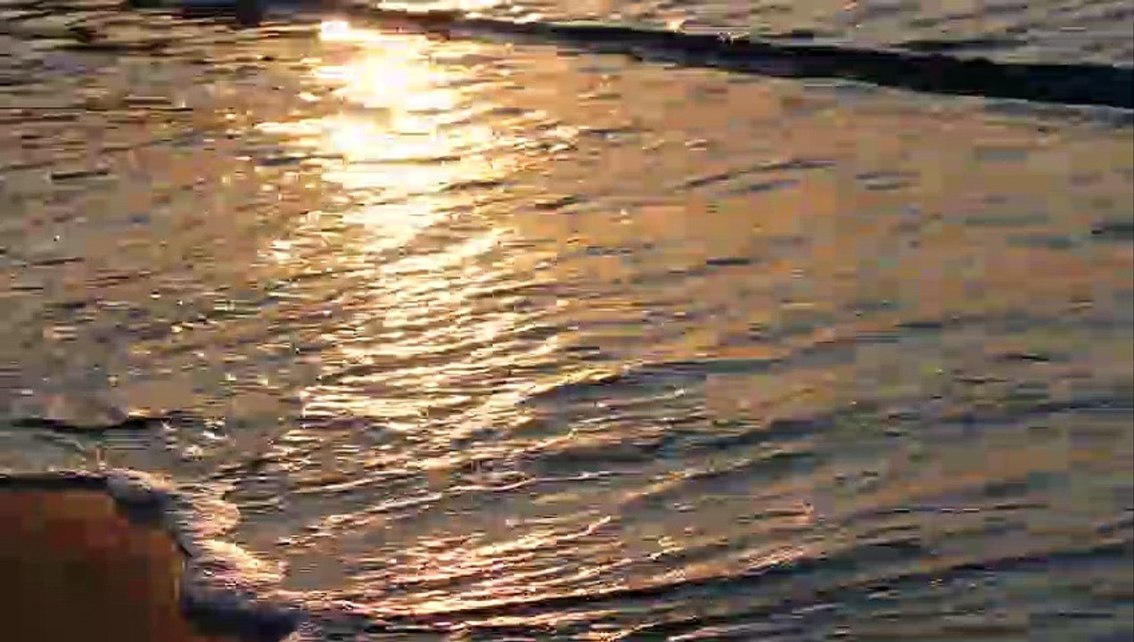 Beach Scene
