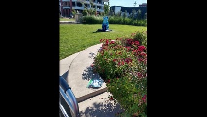 Random Acts of Art Abandonment Series 7 Peace Maker