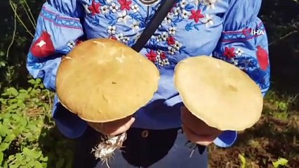 Çorum'da 18 kişi mantardan zehirlendi