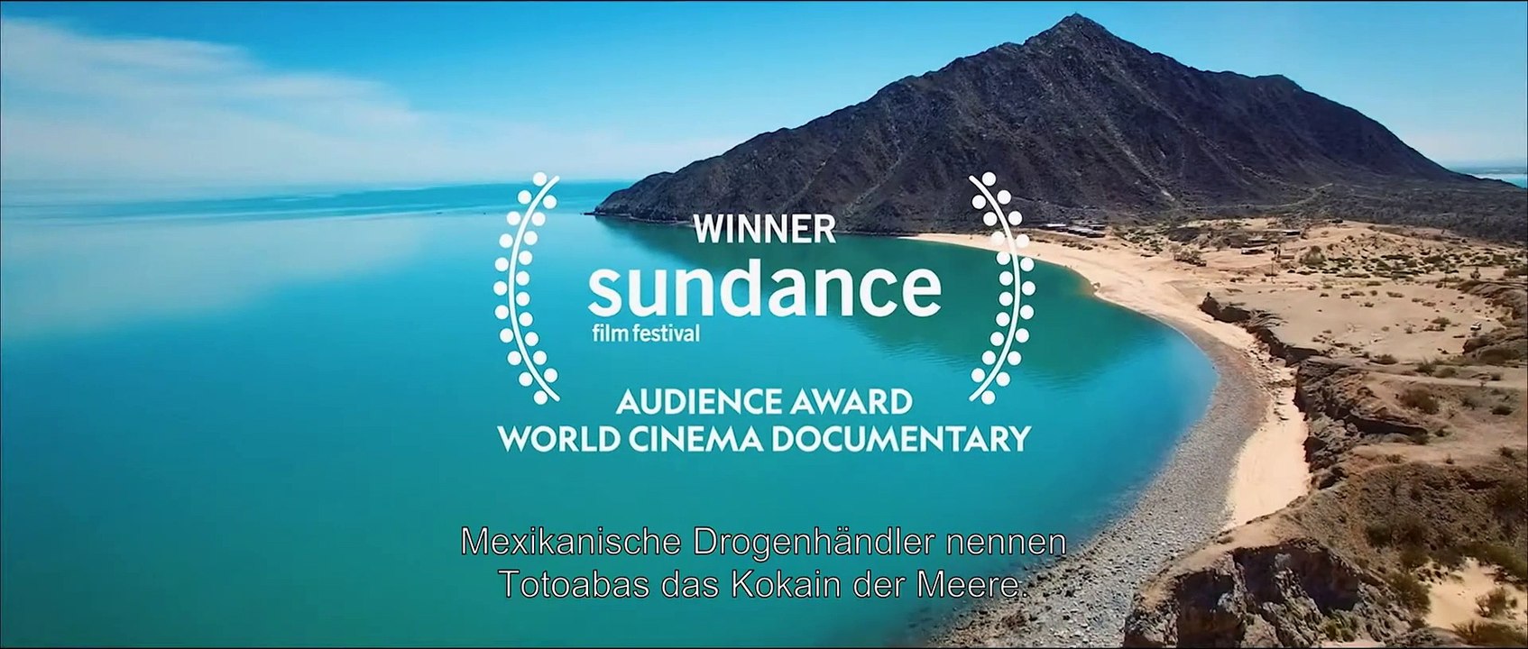 SEA OF SHADOWS Der Kampf um das Kokain des Meeres Film