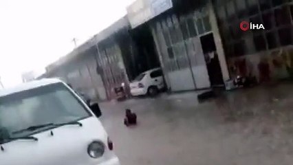 Göle dönen yolda yüzerek eğlendi
