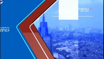 Puluhan Hiu Tutul Berkeliaran Di Pantai Pasuruan