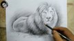 How to draw Lion | Pencil Shading painting Lion | Lion sketch with charcoal pencil | For Beginners