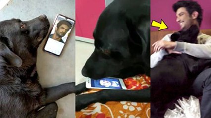 Sushant Singh Rajput ने कभी अपने डॉगी के नाम लिखा था पोस्ट, देख भावुक हुए फैंस | FilmiBeat