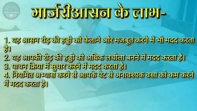 Marjariasana |मार्जरीआसन|Yogasan Yoga for weight loss yoga for beginners|Yogasana Complete Beginners