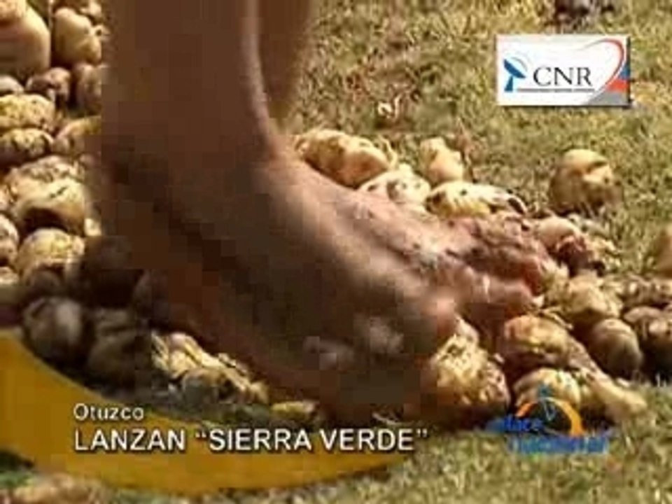 LANZAN “SIERRA VERDE” - CNR
