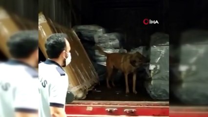 Kargo şubesine kaçakçılık operasyonu