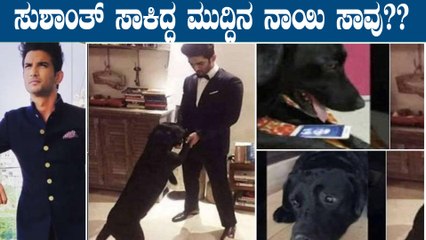ಸುಶಾಂತ್ ಅಗಲಿಕೆಯಿಂದ ನಾಯಿ ಸಾವನ್ನಪ್ಪಿದ್ದು ನಿಜಾನಾ?ವಾಸ್ತವ ಏನು? | Sushanth singh Pet | Fudge