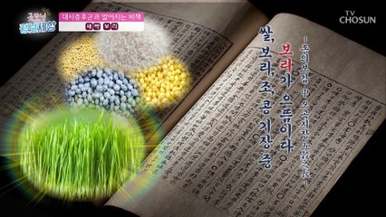 내장 지방 타파! 항산화 성분 많은  ‘○○○○’