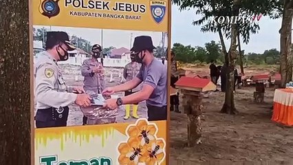 Manisnya Madu Dari Lahan Tidur