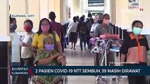 Update Corona NTT, 2 Pasien Sembuh, 39 Masih Dirawat