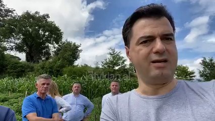 Fermeri-Bashes: Lufte per capen e bukes