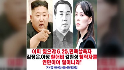 대북전단 금지에도 50만 장 기습 살포...강원 홍천서 일부 발견 / YTN