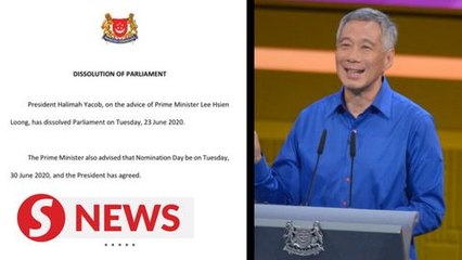 Singapore PM says he has decided to call a general election, polling day on July 10