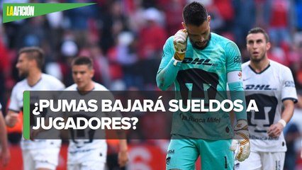 Pumas podría aplicar reducción de salarios
