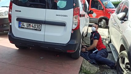 Sıkıştığı otomobilden çıkan kedi itfaiyecileri peşinden koşturdu