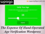 Are you Want to Get  Wordpress Age Verification
