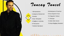 Tuncay Tuncel - Kütahyanın Pınarları