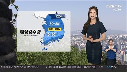 [날씨] 내일 새벽 서해안 시작, 낮 전국에 장맛비