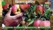 Good Farming Practices : Prayagraj की जमीन पर Kisan ने सेब(Apple) उगाकर किया हैरान : Kisan Bulletin : Grameen News