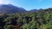 Drone view  forest and mountains