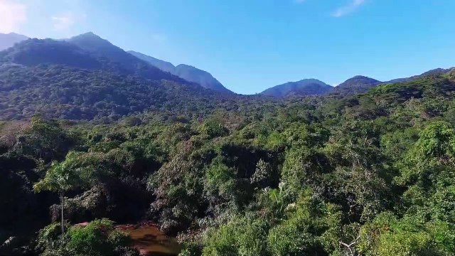 Drone view forest and mountains