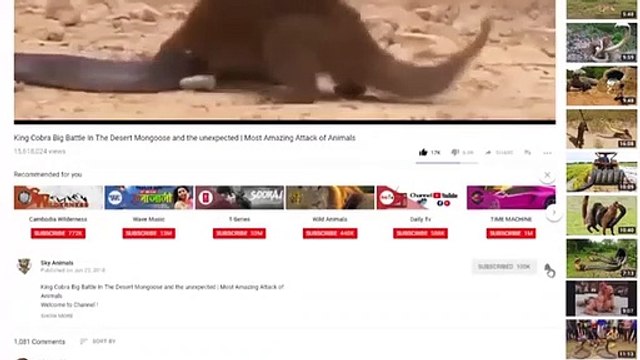 Elephant Defends, Her Baby From, Two Hippo ,Elephants rescue ,from Animal, Attack Animals save