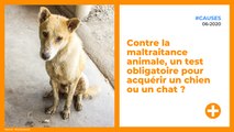 Contre la maltraitance animale, un test obligatoire pour acquérir un chien ou un chat ?