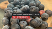 The Health Benefits of Blueberries