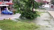 Heavy rain causes flash flooding in Singapore