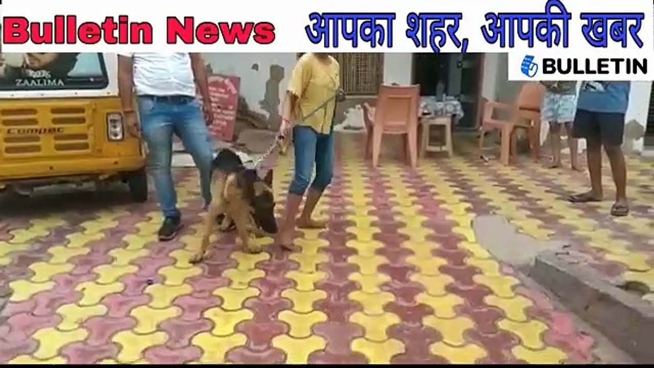 आदमखोर कुत्ते ने महिला के ऊपर क्यों किया हमला, जानिए सच्चाई