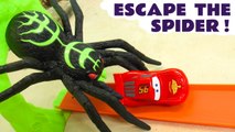 Hot Wheels Spooky Spider Challenge Race with DC Comics Batman and Disney Cars McQueen and the Funny Funlings in this family friendly hot wheels race toy story for kids