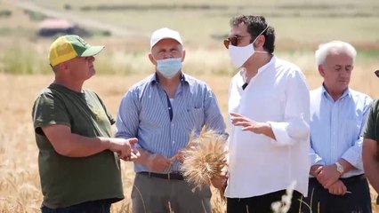 Ora News - Nis korrja e grurit në Dropull, Çuçi: Programi i IPARD mundësia më e mirë për zhvillimin