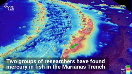 Human-Made Mercury Pollution Reaches Deepest Part of the Ocean