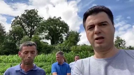 Turi i Bashes me fermeret |Lajme-News