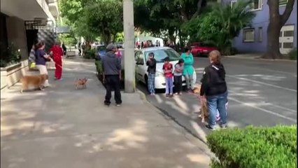 Terremoto de 7,5 grados en México con alerta de tsunami